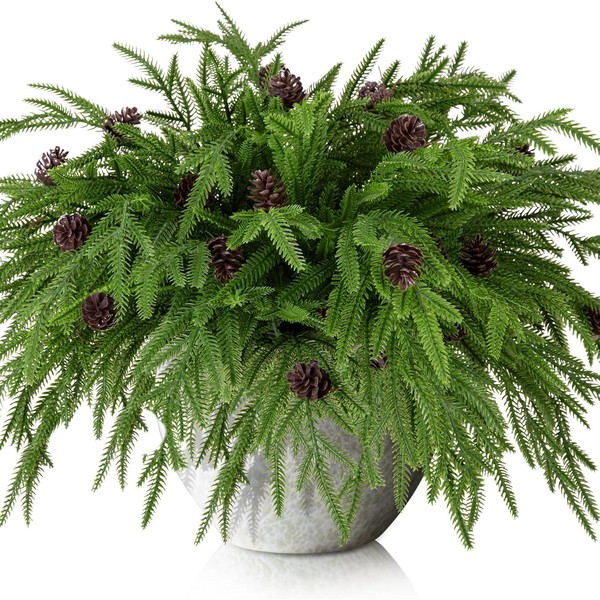 Watayo 10 Pcs Christmas Norfolk Pine Branches with Pine Cones-