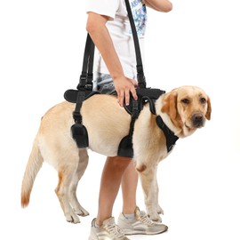 NOYAL Dog Lift Harness for Senior & Injured Pets – Full-Body Support Sling with Breathable Mesh, Front/Rear Leg Assist for Arthritis, Hip Dysplasia & Post-Surgery Recovery (Medium-Large Breeds)