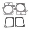 Briggs & Stratton OEM Briggs & Stratton Gasket Set Includes