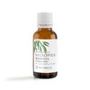 Eucalyptus (Ladiata) 1.0 fl oz (30 ml) NATURELLE Natural Essential