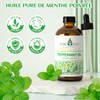 EVOKE OCCU Pfefferminz ätherisches Öl 118ml, reines Pfefferminzöl für Haut