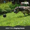 Barkbox Super Chewer Tough Dog Chew Toys for Aggressive Chewers,