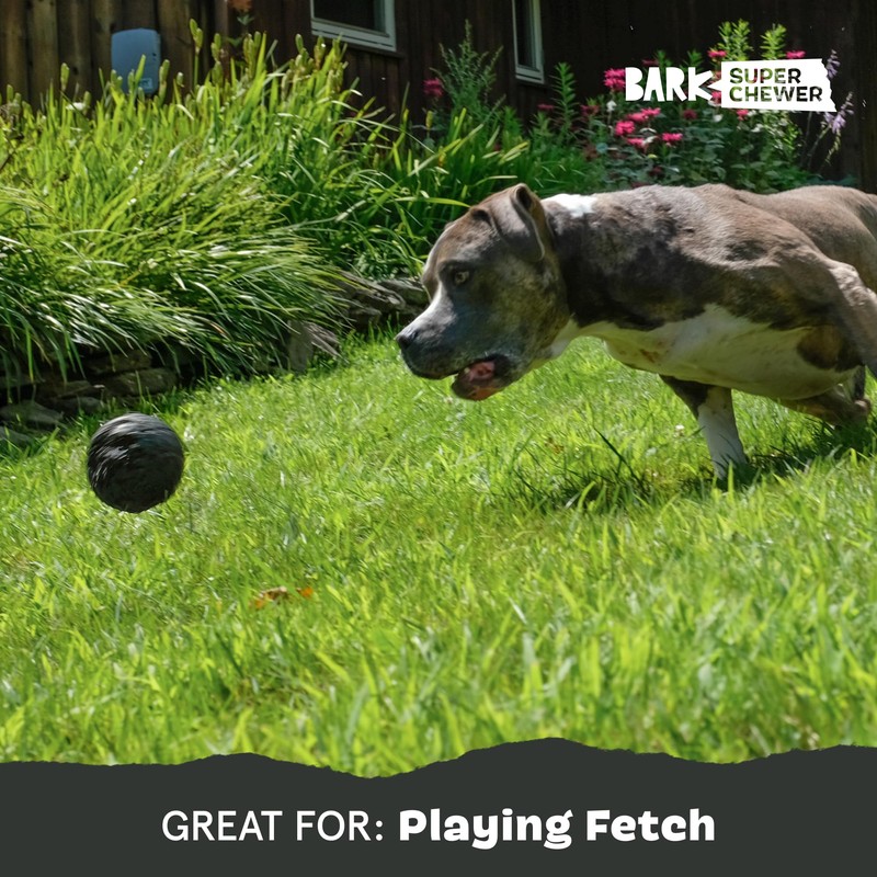 Barkbox Super Chewer Tough Dog Chew Toys for Aggressive Chewers,