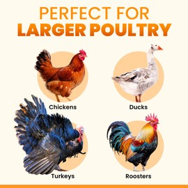 Extra Large Automatic Chicken Coop Door Solar Powered with Remote - LCD Display, Light Sensor, Timer & Anti-Pinch Function – 11.3" x 8.7" Door Opening – 5-Year Protection – Black – by Okköbi