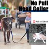 Reflective Head Collar, No Pull Collar for Large Dogs, Anti-Pull