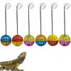 Koomduk Koomduk 6 Pack Bearded Dragon Toys, Accessories, Balls Bell,Fit for Lizard Small Reptile Habitat Terrarium Tank