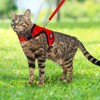 PUPTECK Cat Harness and Leash Set Escape Proof, Reflective Adjustable