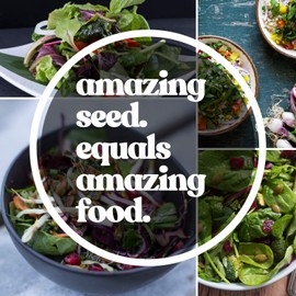 Spinach Seeds - Early Hybrid No 7-4 g Packet ~300 Seeds - Spinacia oleracea - Farm & Garden Vegetable Seeds - Non-GMO, Heirloom, Open Pollinated, Annual