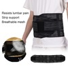 Back Support Breathable Adjustable Waist Lower Back Support Belt Firmness
