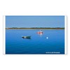 CafePress Cape Cod Boats Rectangle Bumper Sticker Car Decal