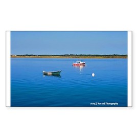 CafePress Cape Cod Boats Rectangle Bumper Sticker Car Decal