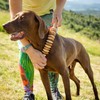 tuuli Wooden Massager Dog Cow Horse Massage Brush Pet Massage