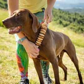 tuuli Wooden Massager Dog Cow Horse Massage Brush Pet Massage Brush