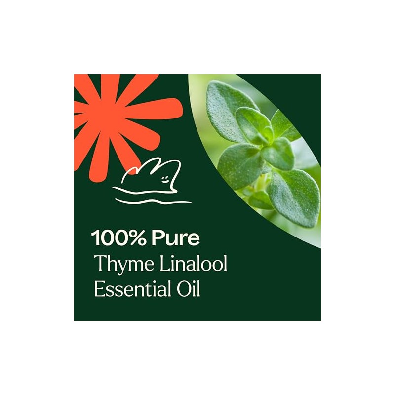 Plant Therapy | Aceite Esencial de Tomillo | 10 mL |