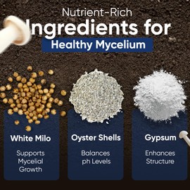 Surfin' Spores Sterilized Hydrated Grain Bag for Mushroom Growing | Sterile Grain Spawn Bag w/Self-Healing Injection Port | White Milo Grain Infused w/Oyster Shell | 2 lbs of Grain (Single)