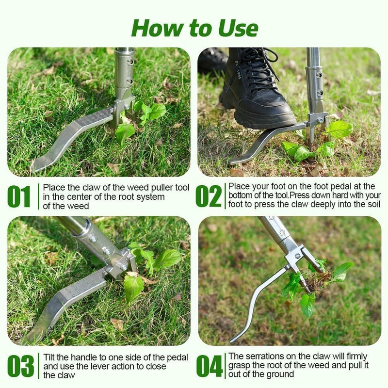 Fologtoo Stainless Steel Stand Up Weed Puller Tool with Long