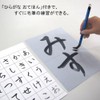 Akashiya AZ-140MF Calligraphy Water Writing Set, Thick Brush, For Elementary