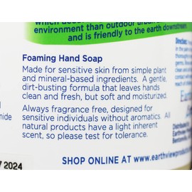 Earthview Fragrance Free Foaming Hand Soap, 19 Fl Oz |Unscented, Gentle, Moisturizing | Designed for Environmental Sensitivities (MCS, EI, MI free, Sulfate free, SLS free, Sensitive Skin, Unscented, Free & Clear, Naturally Derived, Eco-Friendly, Hypoalle