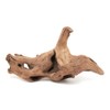 Boiled High Quality Driftwood, Miyabi, Small Size (Approx. 5.9 -