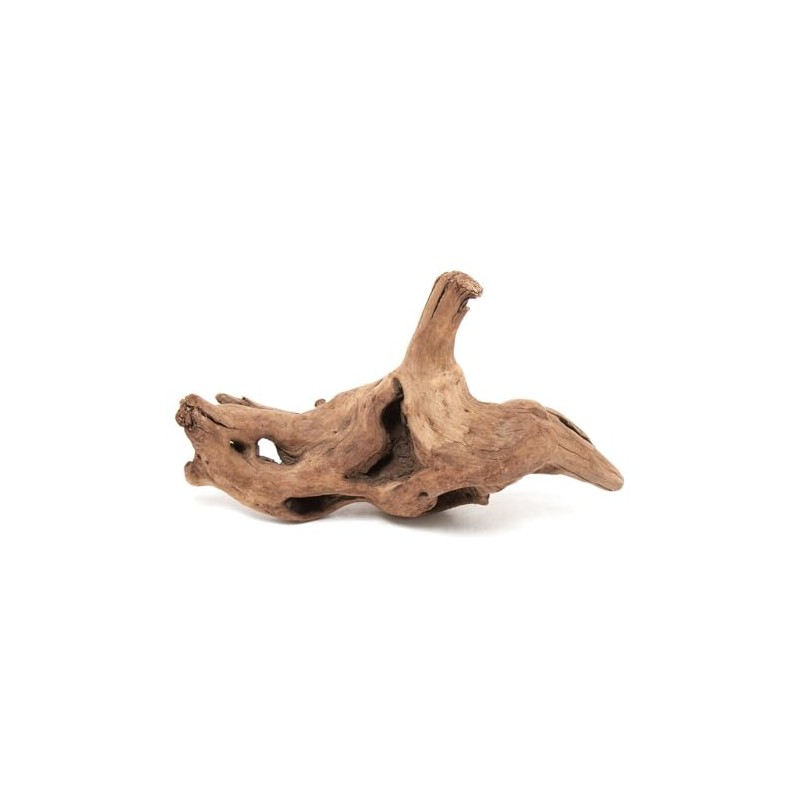 Boiled High Quality Driftwood, Miyabi, Small Size (Approx. 5.9 -