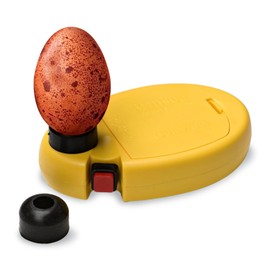 Brinsea OvaView High Intensity Egg Candler for Monitoring Embryo Development in Quail, Pheasant, Marans Eggs, Portable Battery Operated Extra Bright LED Light Candling Lamp