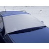 CORA 000120766 Ice Protection Car Windscreen Cover, 250 x 100