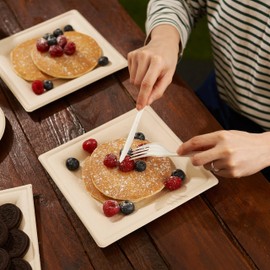 HAAGO 500 Premium Sugar Cane Bagasse Disposable Plates, Square, 20 cm, Sturdy, Biodegradable, Environmentally Friendly & Compostable