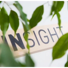 Insight Styling Oil Non Oil Fluido Antiencrespado 250ml