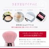 Brilliet Makeup Brush Funde Brush Round Shape Makeup Brush Blush