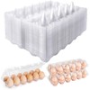 50 Pack Clear Plastic Egg Cartons Bulk, 1 Dozen 2x6