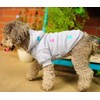 LeerKing Dog Coat with Hood for Small Dogs and Pets,