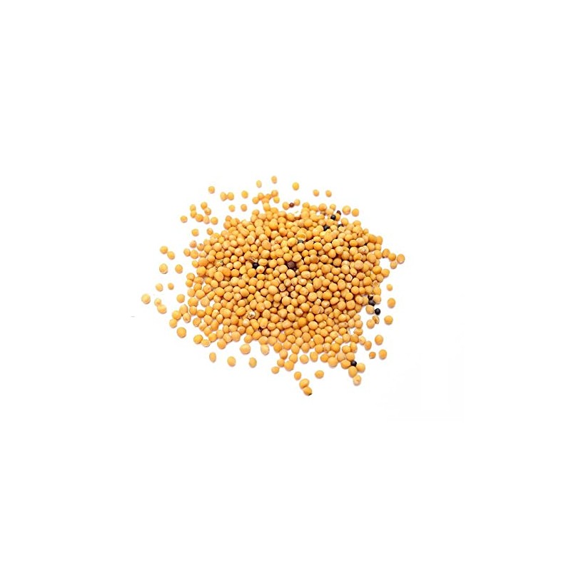 Organic Yellow Mustard Seeds 250g by Manor Springs Organic