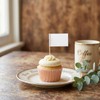 100PCS Blank Toothpick Flags, Mini Food Labels for Buffets Blank
