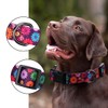 Rhea Rose Girl Dog Collars Fall Daisy Pattern, Colorful Flowers