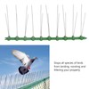 12Pcs Stainless Steel Bird Deterrent Spikes 25cm Anti Cat Crawling