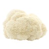 Hawlik Gesundheitsprodukte - Hericium Extrakt - Vitalpilze - 1258