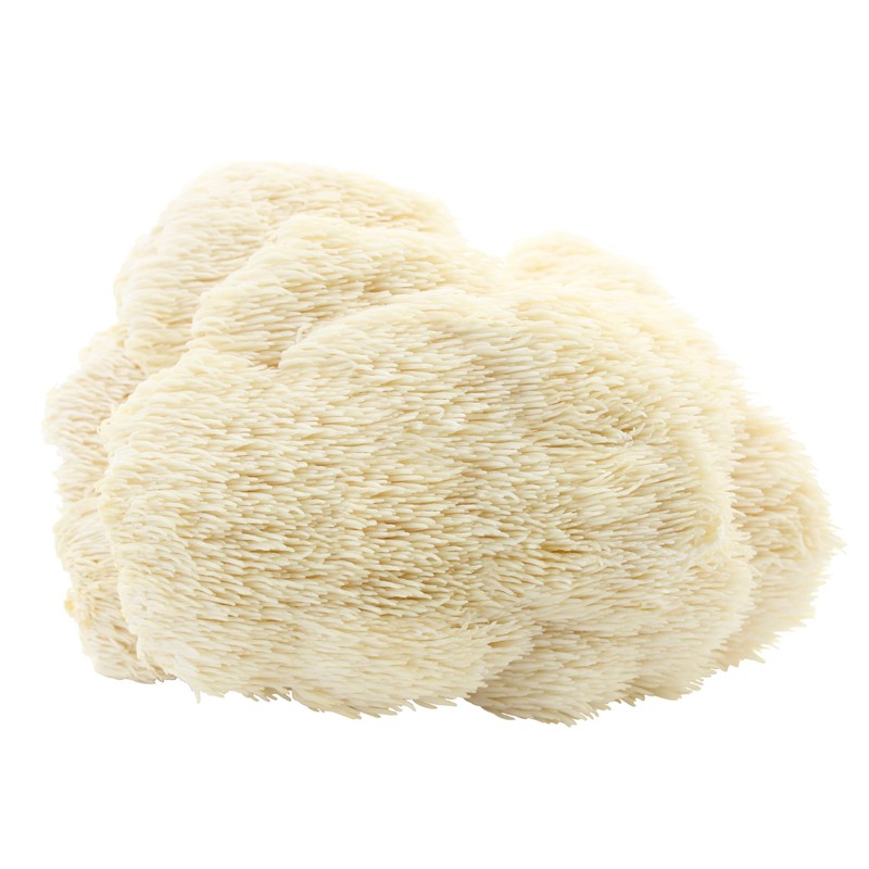 Hawlik Gesundheitsprodukte - Hericium Extrakt - Vitalpilze - 1258