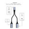 LeTradeJP2 in 1 Type C Earphone Converter Cable Type-C Earphone
