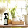 Organic Leaf Wellness Spray for Plants - Protect & Nourish