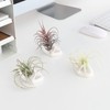 Dahey Air Plant Holder Cute Ceramic Mini Hand Shape Stand
