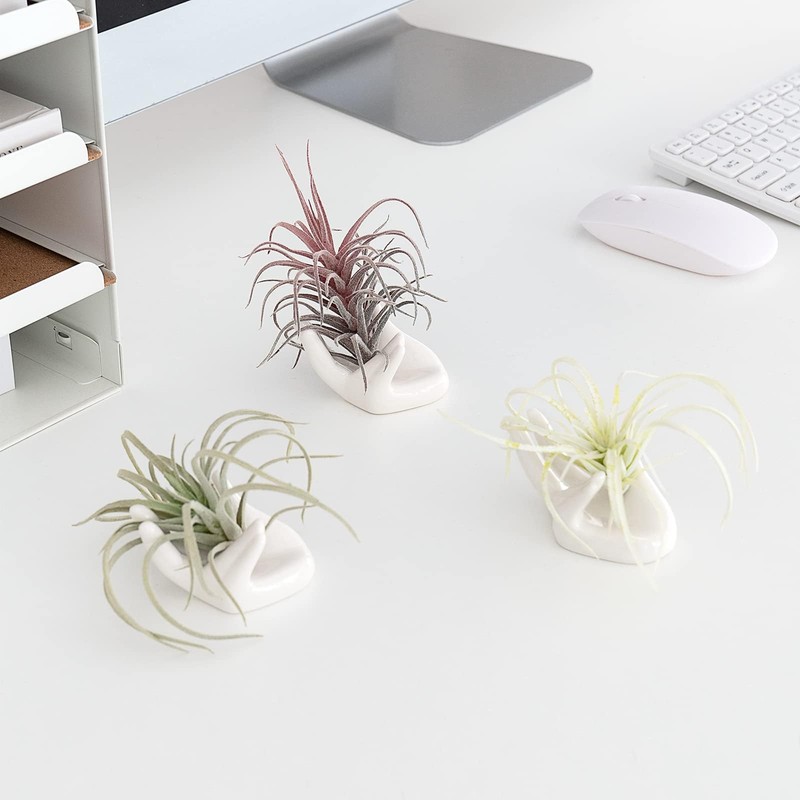 Dahey Air Plant Holder Cute Ceramic Mini Hand Shape Stand
