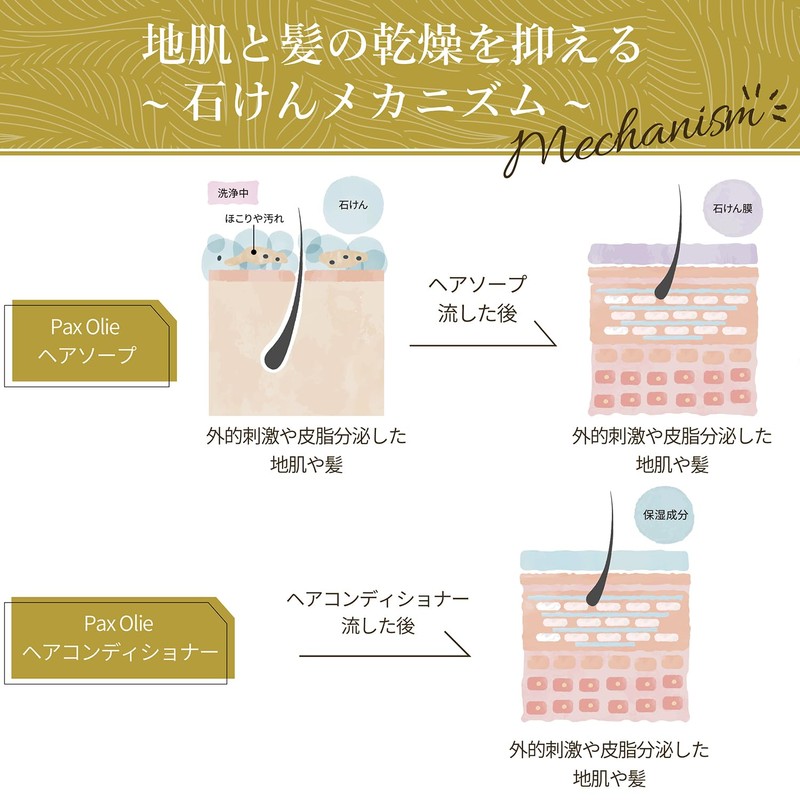 PAX Olie Hair Conditioner Citrus & Herb Refill, 13.5 fl