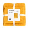 SWEET HOME Pantone™ Hand Towels Set 1+1 Consisting of Guest
