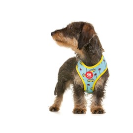 DUKIER - Reversible Dog Harness for Dogs, No Pull Vest, Pets, Safety, Neoprene, California, Size XL