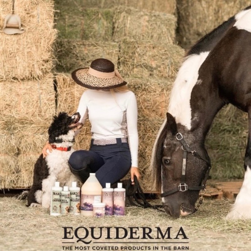 EQUIDERMA Horse Skin Lotion – 16 oz | All-in-One Equine