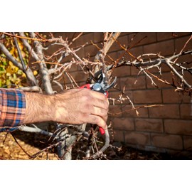 Corona BP 4180 Non-stick Steel Angled Bypass Hand Pruner - 5/8 inch Cut Capacity Stem and Branch Garden Shears, Red