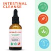 HERBAFLUSH Intestinal Cleanse Organic Tincture / 2 Week Cleanse