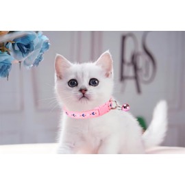 Purple Kitten Collar with Bell,Love Pattern Cat Collar Girl Cute Fancy Puppy Collar with Bells for XXS XS Tiny Little Kitten Pet Female Dogs,Neck 7-12 Inch