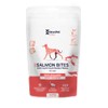 Kōrure Pets Dog Salmon Bites
