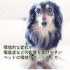 Flower Essence (DTW) [Environment Support Forpet] Flower Essence for Pets